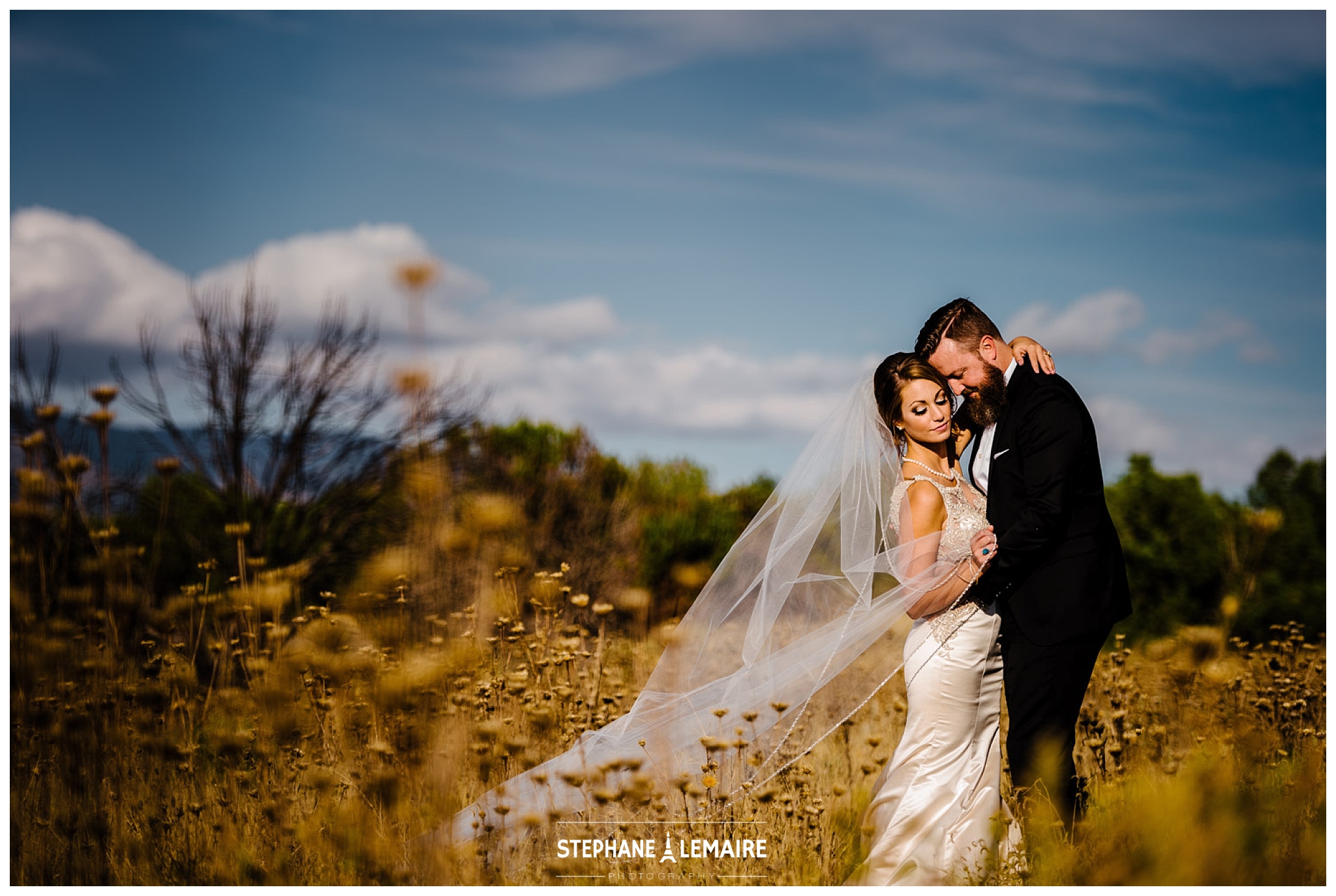 Bride and Groom portrait in a  field